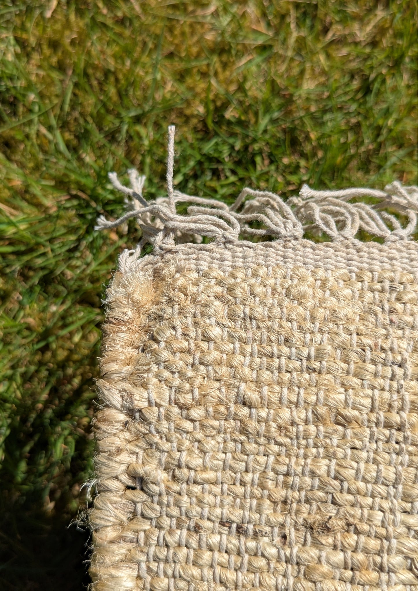 Jute Rugs